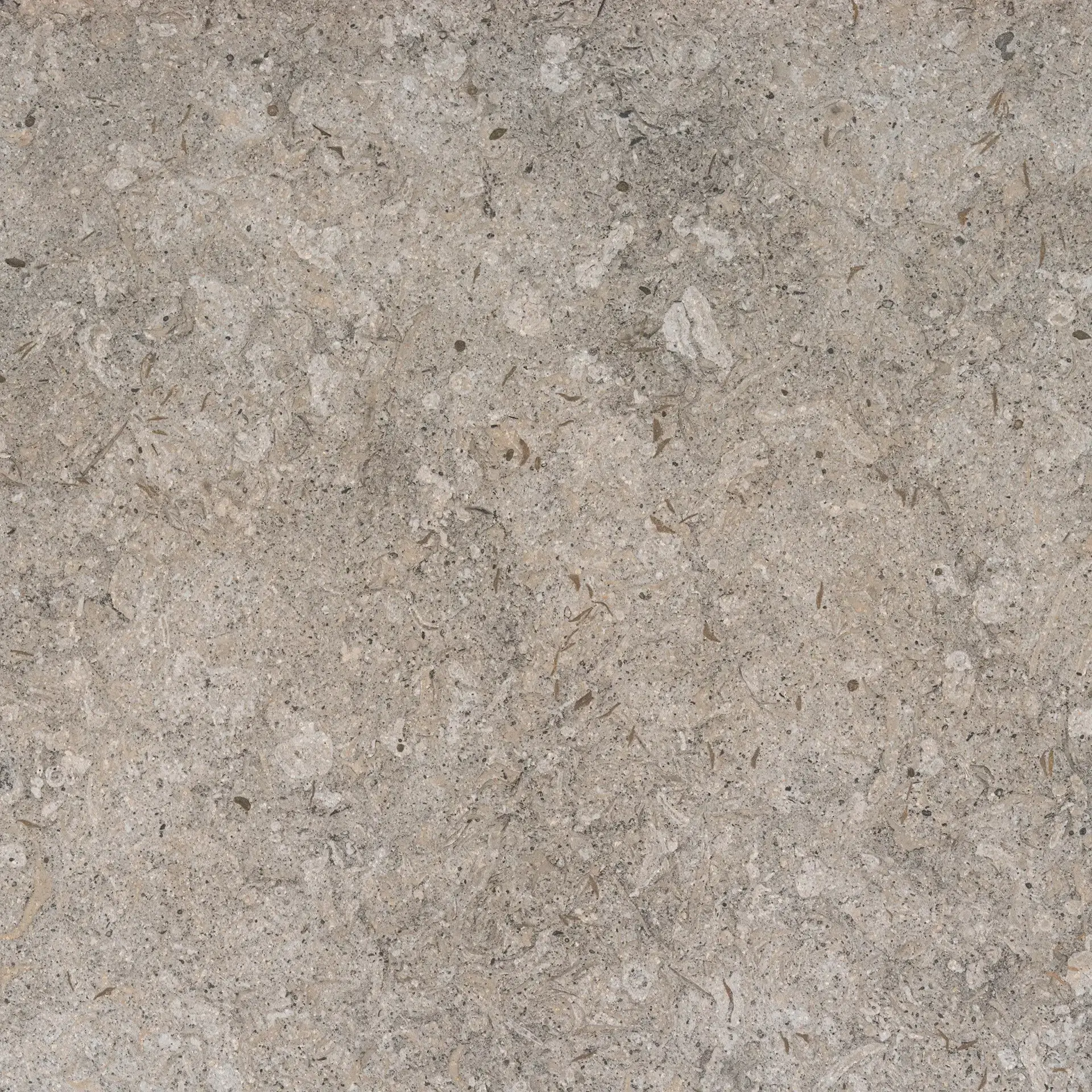Stone samples - Image 4